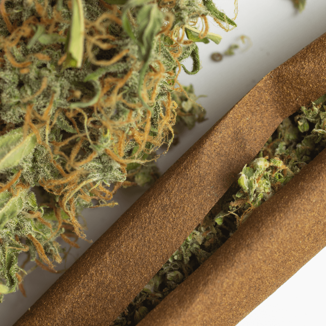 New Port CBD - 5g - Ma boutique