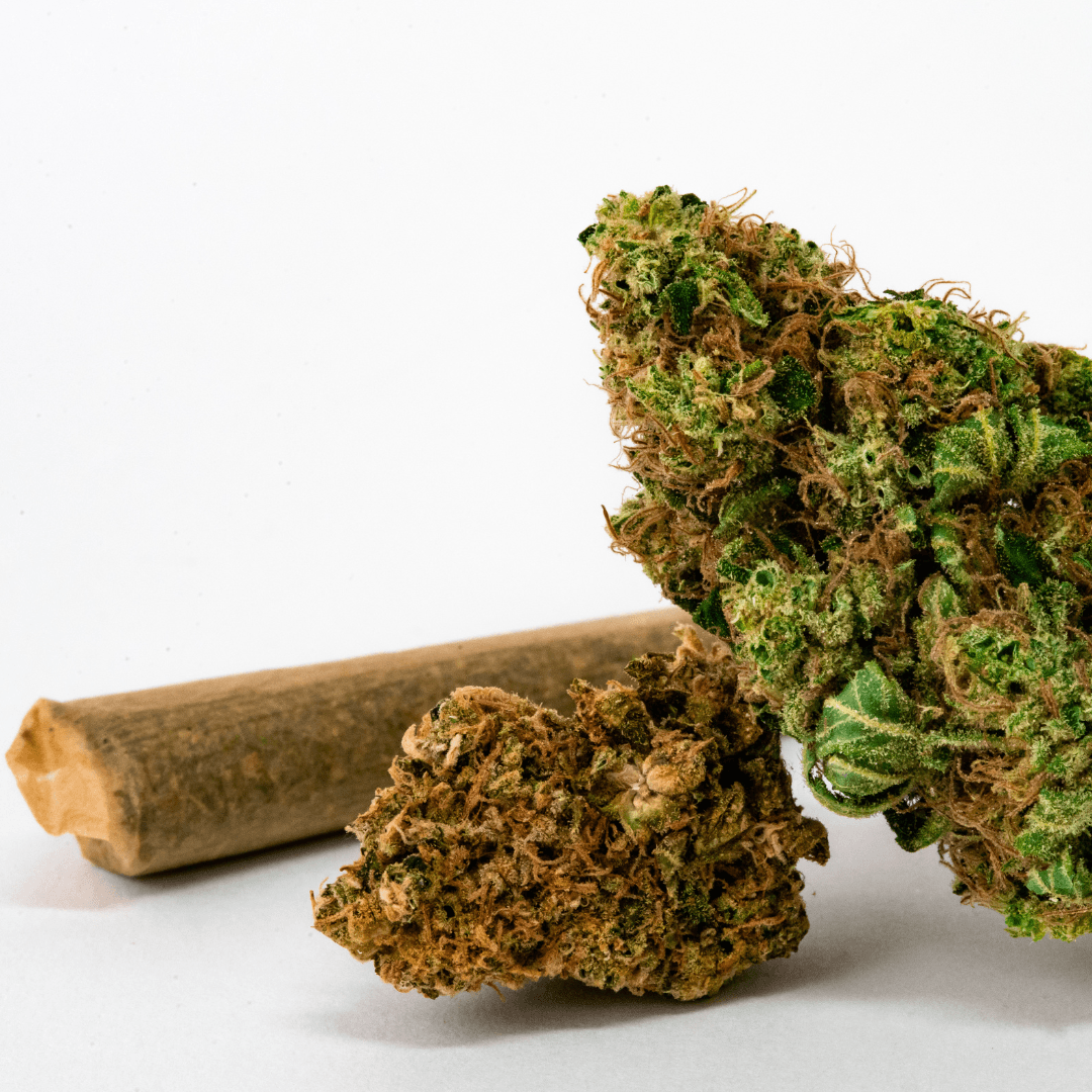 Pré-roll Amnesia CBD - Ma boutique